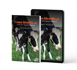 EBOOK Como identificar cio em vacas leiteiras
